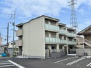  ノヴァ　アイビー