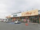 ハピーズ玉島店 403m YSN style