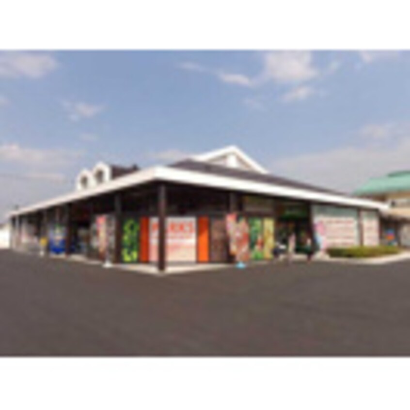 PARKS(パークス) 富田店(スーパー)まで1083m カンパーニャ・タマ