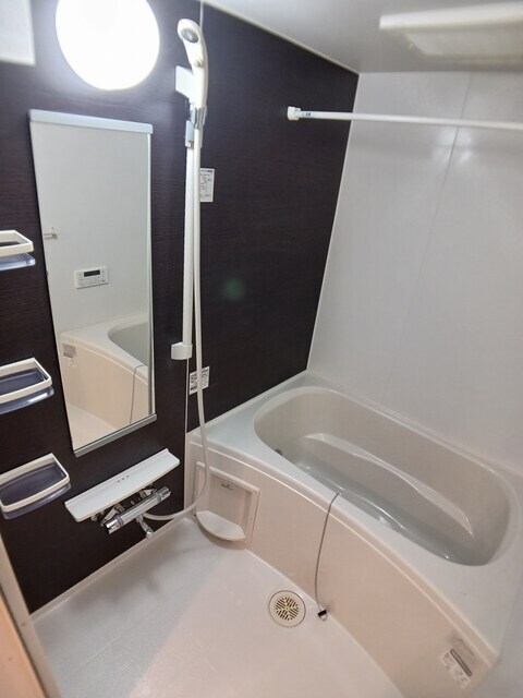  アーレア　アレス