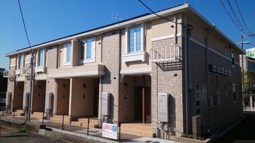  グレース　ノバ