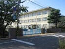 倉敷市立中洲小学校 842m monolith（モノリス）