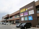 ニシナフードバスケット 市役所北店 1103m ポレスターブロードシティ倉敷