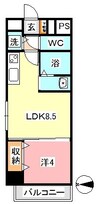 メゾンアルベロ 1LDKの間取り