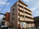 メゾンアルベロの外観