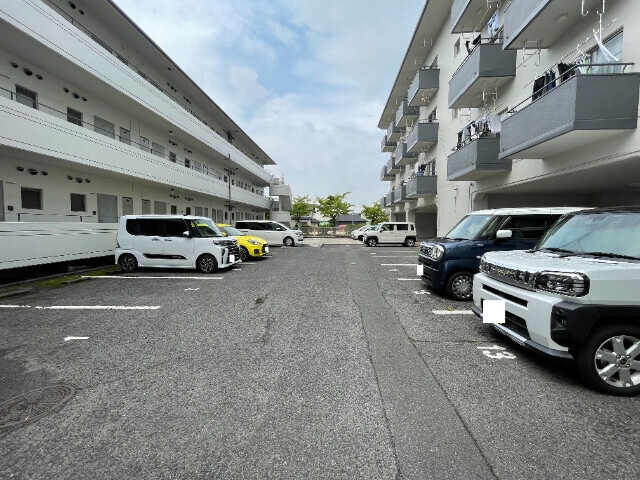  サンライズブルー