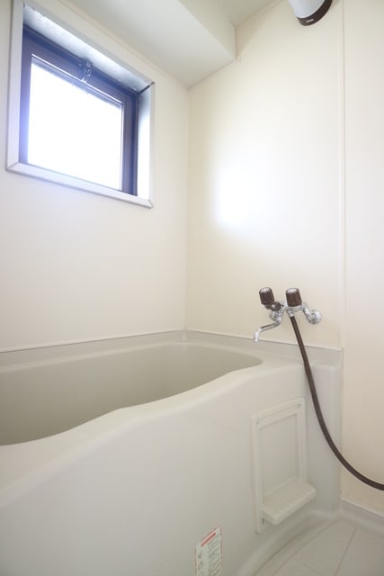  サンライズブルー