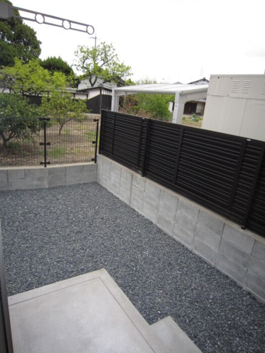  レイ　ヴェレーナ