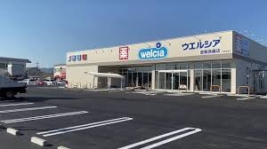 ウエルシア 倉敷真備店(ドラッグストア)まで377m アルモニー倉敷Ⅱ