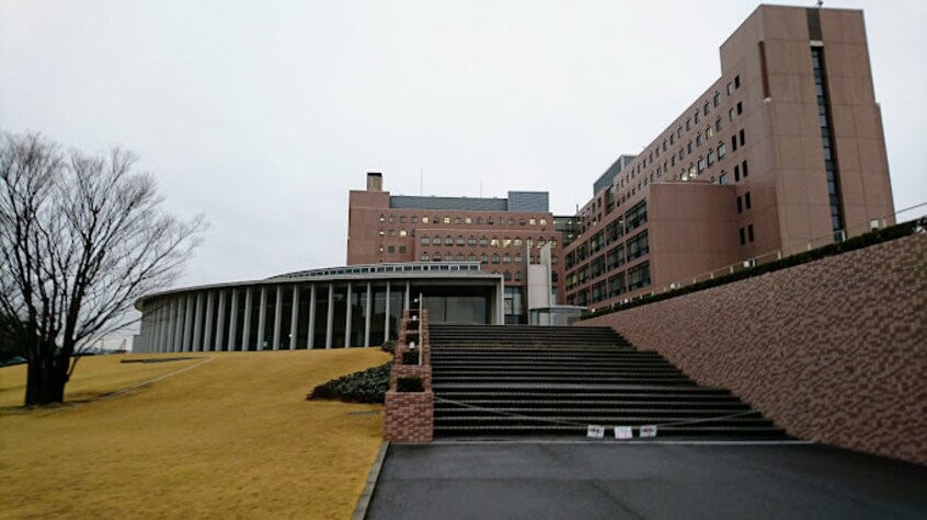 私立川崎医療福祉大学(大学/短大/専門学校)まで251m ジュメル倉敷