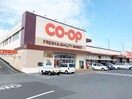 おかやまコープ コープ総社東(スーパー)まで1012m 吉備線<桃太郎線>/服部駅 徒歩24分 2階 築2年