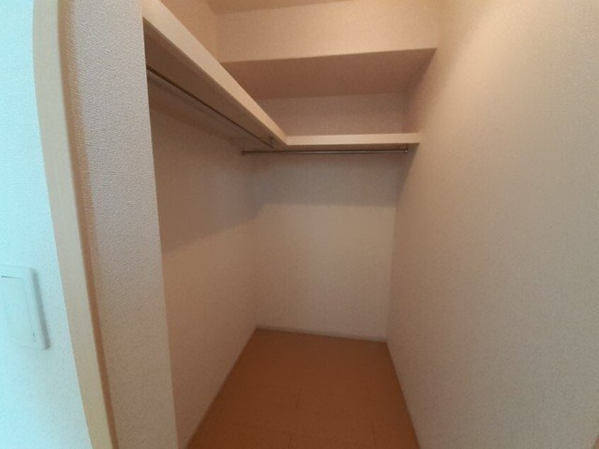  プラシード・Ｔ