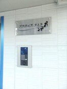  プラティアテトラ