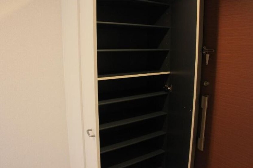  ＰｕｌＰｉＰｉｎｏ　ｕｎ