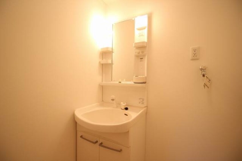  プレイン・パインA