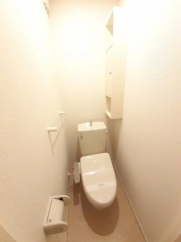  グレース　ノバ