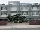 岡山大学資源植物科学研究所 2062m グレース　ノバ