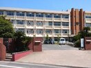 倉敷市立倉敷第一中学校(中学校/中等教育学校)まで437m サンライフ中島Ⅲ　E棟