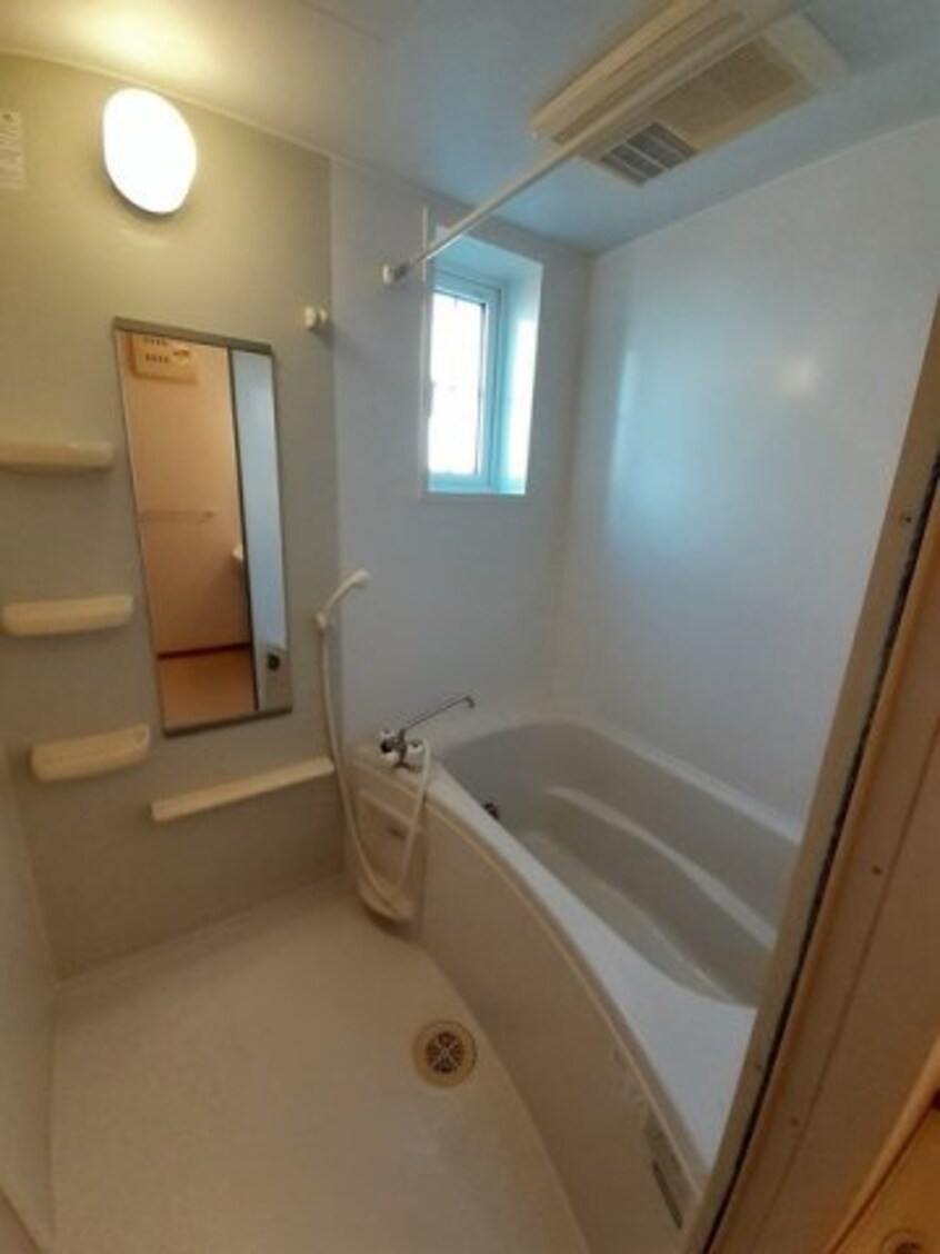  プリムローズ　Ｂ