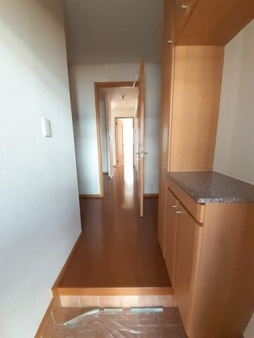  プリムローズ　Ｂ