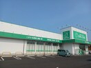 ザグザグ　安江店まで650m エトワール　ブランシュ
