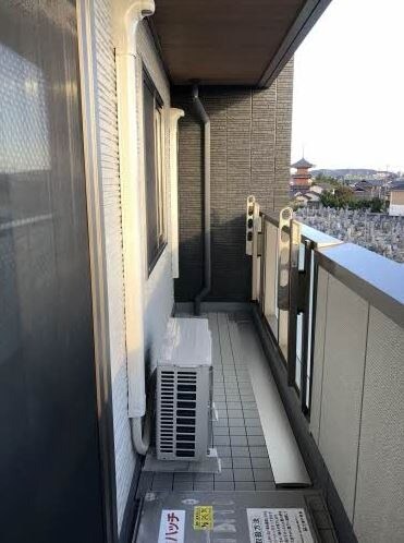  エムズ　グアナファト