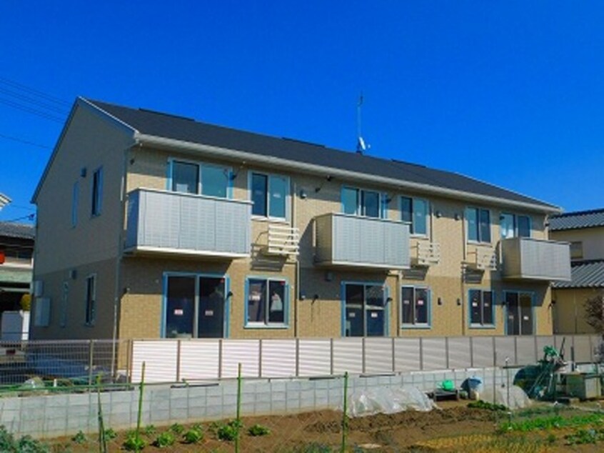  アマンプリ中津