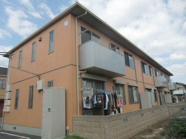  プレイン・パイン　Ｂ