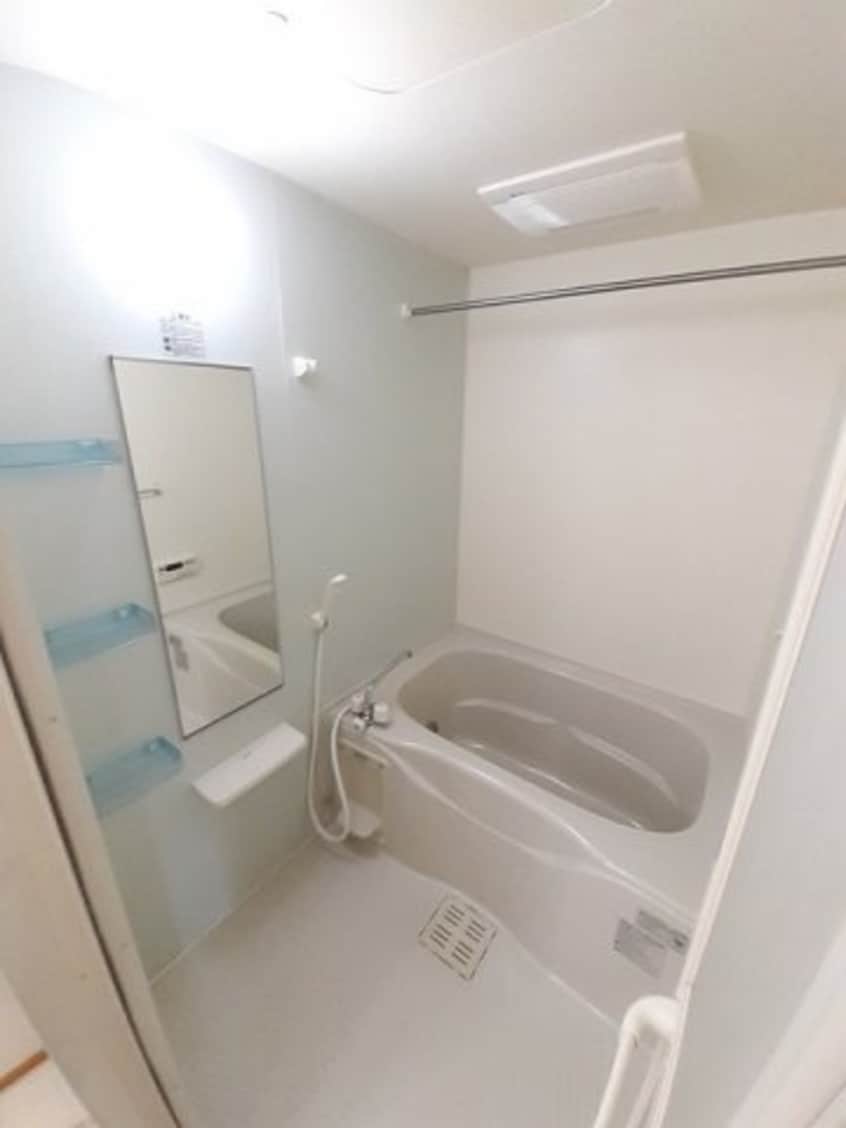  プリムラ　ジュリアン