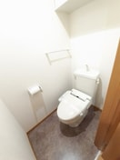  プリムラ　ジュリアン