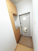  プリムラ　ジュリアン