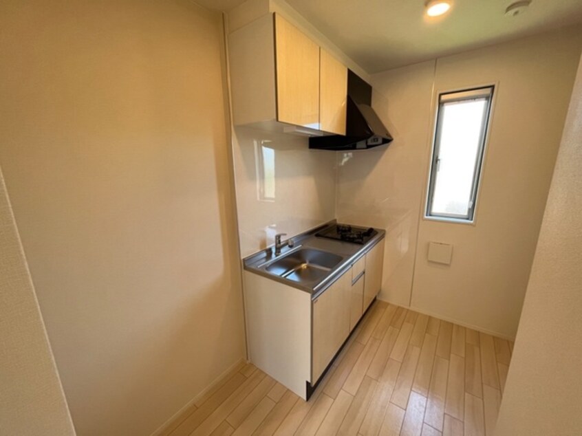  Ｇｒａｃｅ　Ｆｉｎｅ (グレースファイン)