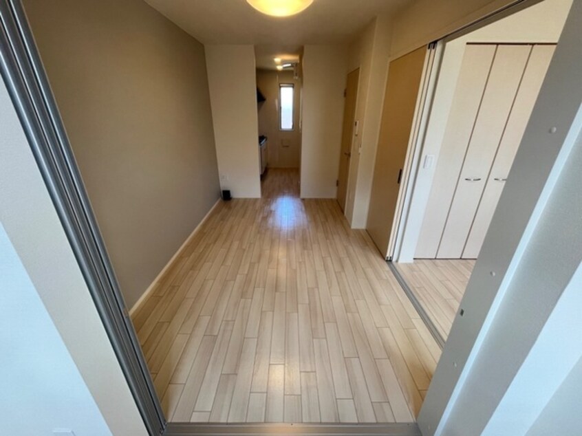  Ｇｒａｃｅ　Ｆｉｎｅ (グレースファイン)