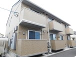 古新田　PADDY