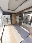  ケイマイティ　Ⅱ