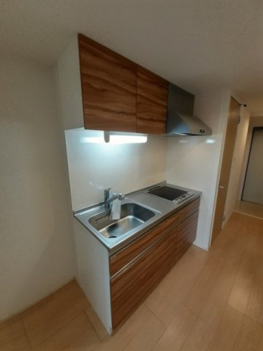  ケイマイティ　Ⅱ