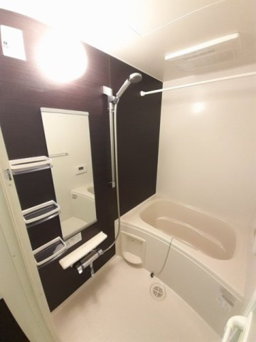  ケイマイティ　Ⅱ