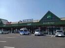 ニシナ　中島店まで1000m Ｍｏｄｅ　Ｅｉｇｈｔ　Ⅳ