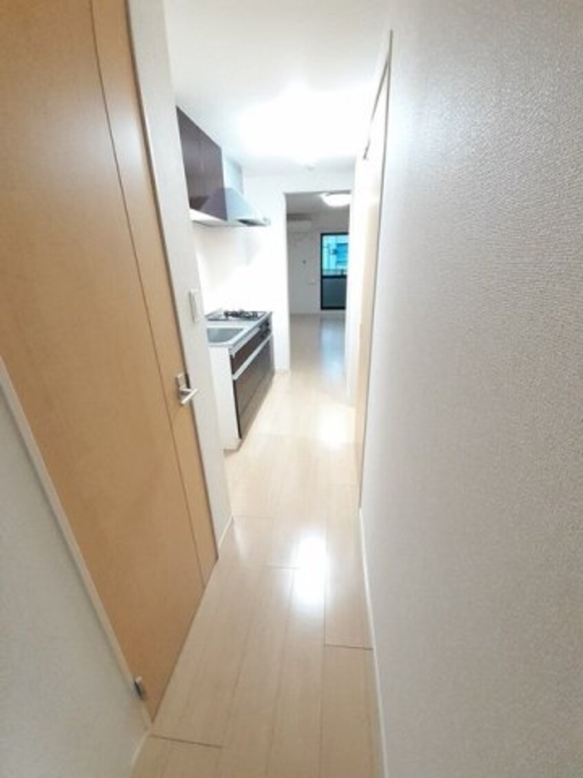  アンジュラピス