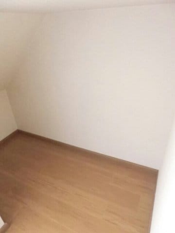  メープルピュア