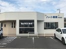 ハート薬局 中島店(ドラッグストア)まで262m モデルノ　ブローテ　Ｃ