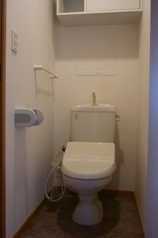  フランソレイユ