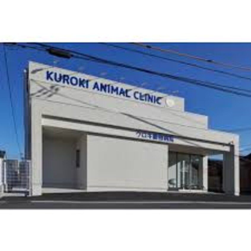 田中犬猫病院 2382m リバーサイドパレス　Ｋ