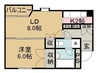 エルム２０ 1LDKの間取り