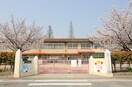 倉敷市第一福田保育園(幼稚園/保育園)まで327m ブロト　Ｄ