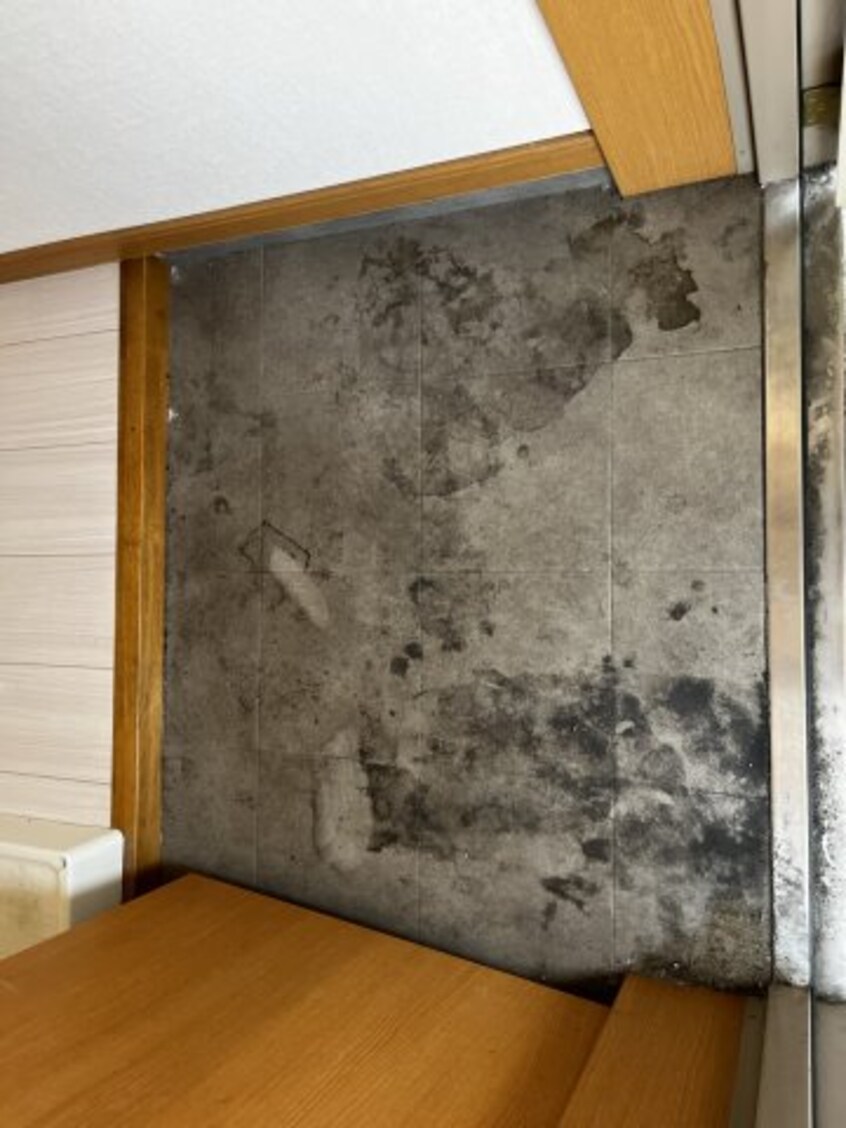  山陽本線（中国）/倉敷駅 徒歩7分 3階 築19年