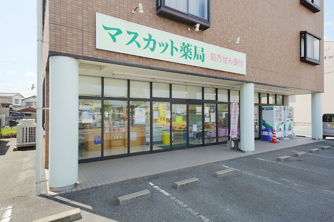 マスカット薬局総社店(ドラッグストア)まで435m 吉備線<桃太郎線>/東総社駅 徒歩8分 2階 築36年