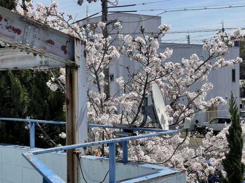  吉備線<桃太郎線>/総社駅 徒歩20分 2階 築38年