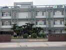 岡山大学資源植物科学研究所 2204m 山陽本線（中国）/倉敷駅 徒歩21分 4階 築35年