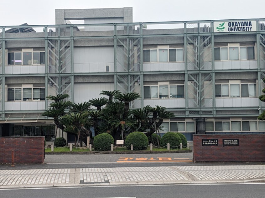 岡山大学資源植物科学研究所 2204m 山陽本線（中国）/倉敷駅 徒歩21分 4階 築35年